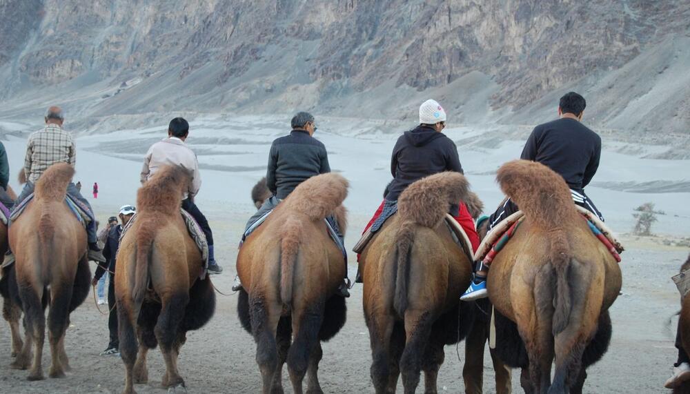 Magnificent Ladakh Tour